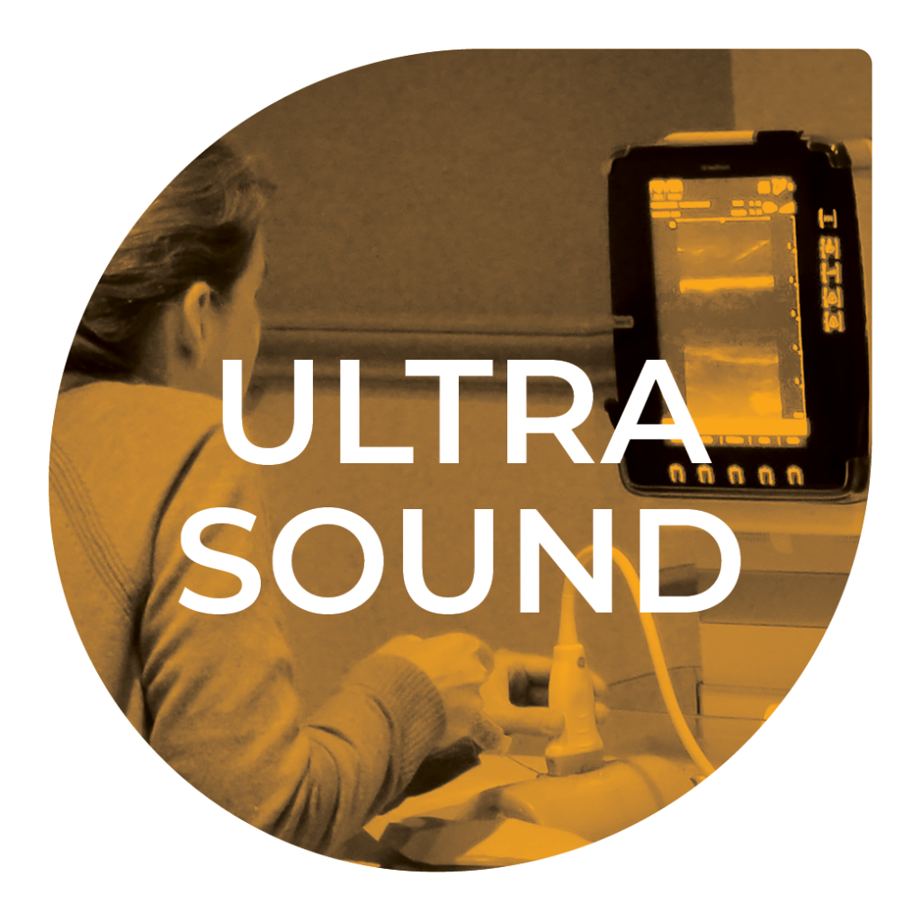 interactive course in obstetrics ultrasound