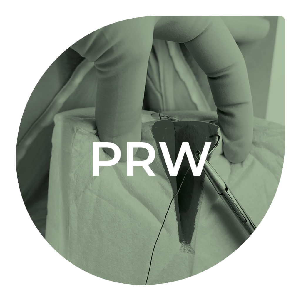 Perineal Repair Workshop